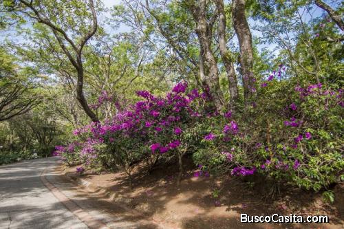 En Venta Terreno Residencial En Piedades De Santa Ana
