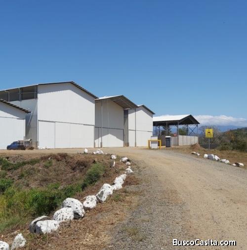 Amplia Bodega Refrigerada Alquiler Esparza Puntarenas