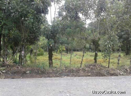 Terreno En Venta En  La Cruz De Chachagua Alajuela