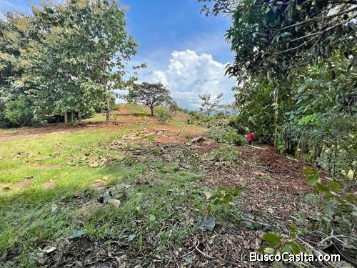 DE VERDADERA OPORTUNIDAD BELLO LOTE EN SAN MATEO, ALAJUELA.