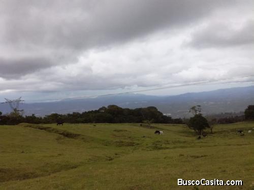 Finca en Santa Barbara, 18.7 hectareas