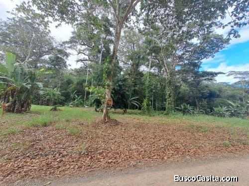 SE VENDE BELLÍSIMA PROPIEDAD DE MIL METROS EN CAHUITA, LIMON.