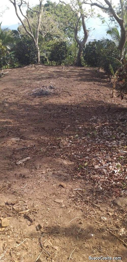 SE VENDE BELLEZA DE FINCA EN BARROETA, ATENAS.