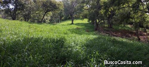 SE VENDE ESPECTACULAR FINCA EN TABARCIA DE MORA, SAN JOSÉ.