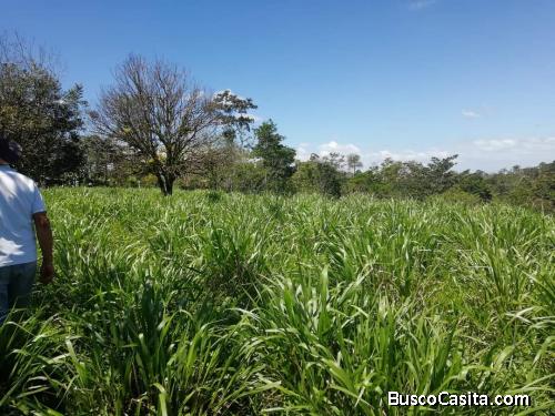 Venta de finca en la zona de San Carlos 