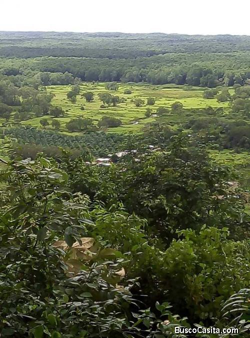 ESPECTACULAR FINCA EN OSA, CIUDAD CORTÉS, PUNTARENAS.