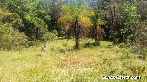 SE VENDE UNA BELLEZA DE FINCA EN TABARCIA DE MORA, SAN JOSÉ.