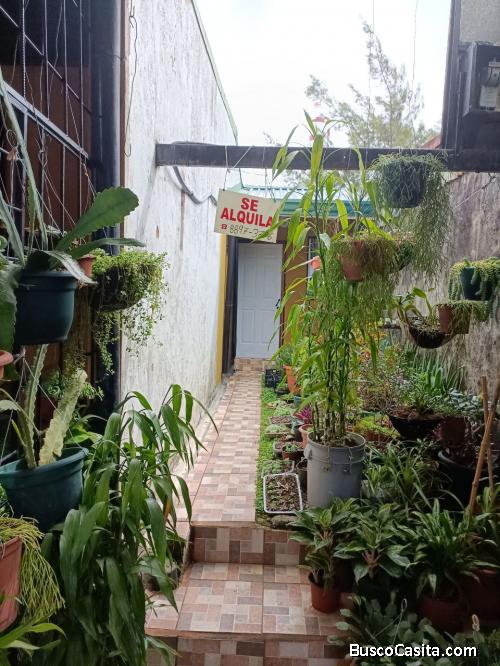 Alquiler de Apartamento