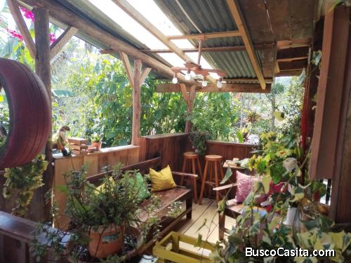 Propiedad en Tarrazú con casa Rústica 