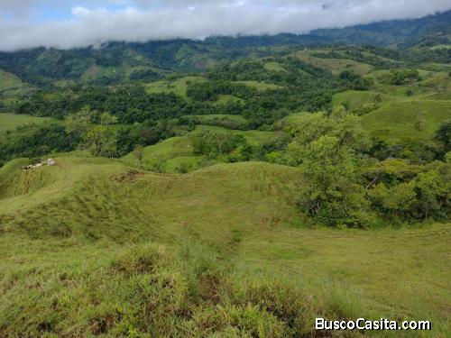 ESPECTACULAR FINCA GANADERA EN SAN VITO, COTO, BRUS.