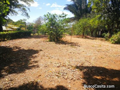 Lote En Venta Hojancha Guanacaste Costa Rica ; Idi: 115974