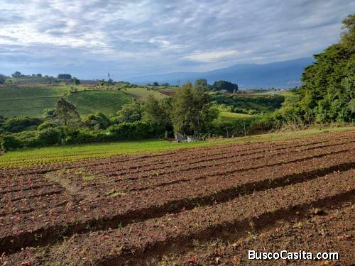 DE OPORTUNIDAD BELLA PROPIEDAD EN LLANO GRANDE DE CARTAGO.
