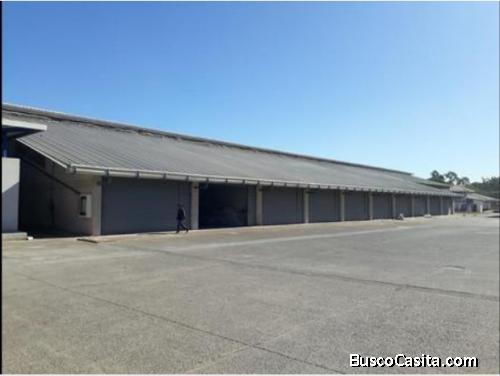 10 Bodegas 60mts Cada Una Alquiler Orotina Costa Rica; Idi: 138173