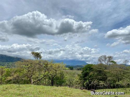 SE VENDE ESPECTACULAR FINCA EN ESCOBAL DE ATENAS.