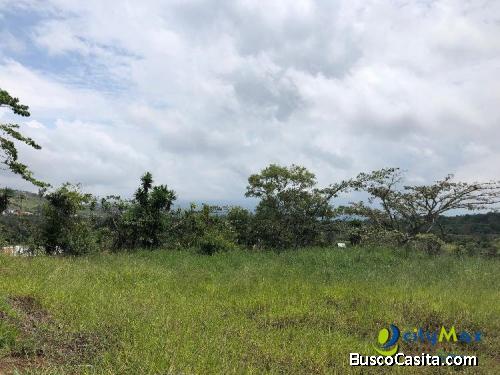 Se Vende Terreno En San Pedro De San Ramón De Alajuela!; Idi: 99330