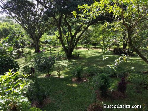 SE VENDE ESPECTACULAR FINCA EN ATENAS, ALAJUELA.