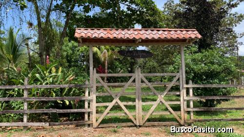 Lote de 888m2 en Bajos de Chilamate, puerto viejo de Sarapiqui 