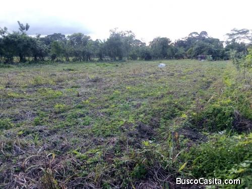 SE VENDE ESPECTACULAR PROPIEDAD EN ROXANA, POCOCÍ, LIMÓN.