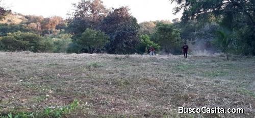 Terreno En Venta En Cañas Dulces Liberia Guanacaste ; Idi: 115951