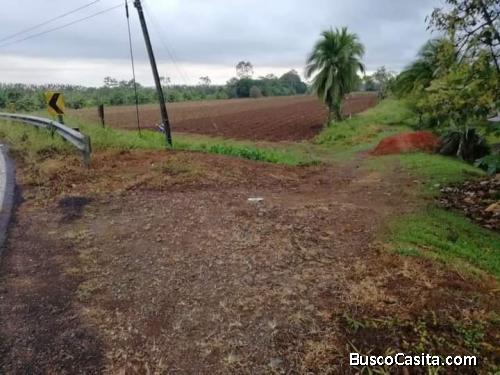 Se Venden 8,000 metros de Terreno 