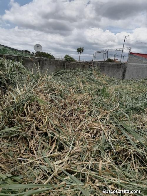 Terreno en Mercedes Norte Heredia