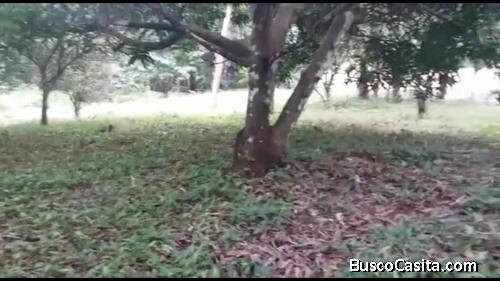 SEVENDE BELLA Y BARATA FINCA EN BUENOS AIRES DE PUNTARENAS.