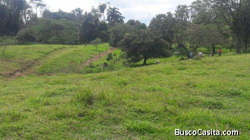 Se vende terreno en Guápiles, parismina.