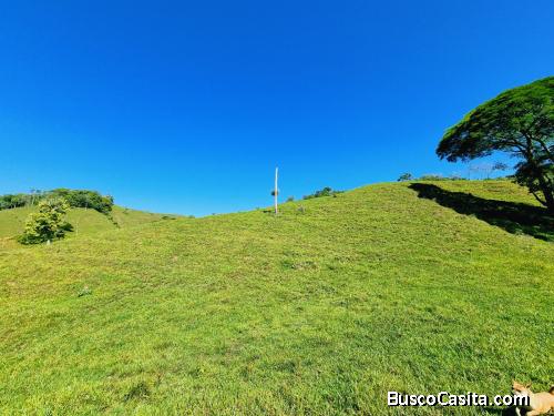 FINCA DE 40 HECTAREAS A LA VENTA 40-HECTARE LAND WITH CREEKS AND VIEWS 