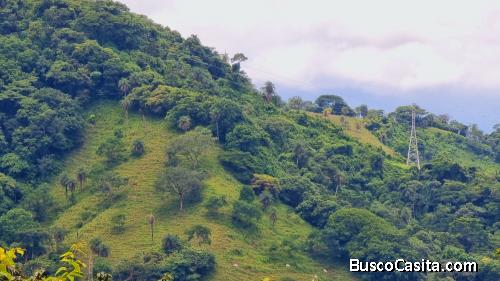 7.7 HECTARES  19.03 ACRES WITH VIEWS ON ROUTE 3, San Mateo