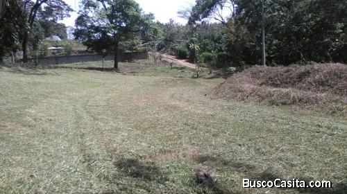 Oferta Venta Terreno Para Construir Santa Rita Orotina ; Idi: 90043