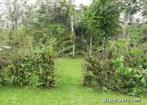 Lote En Venta En Sarapiquí Heredia; Idi: 132980
