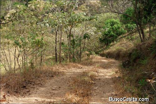 Terreno Para Uso Residencialcomercial En Orotina ; Idi: 96135