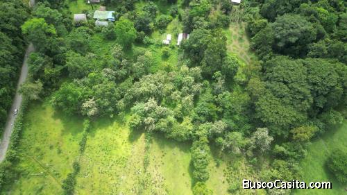 LAND FOR SALE IN NARANJITO, QUEPOS 