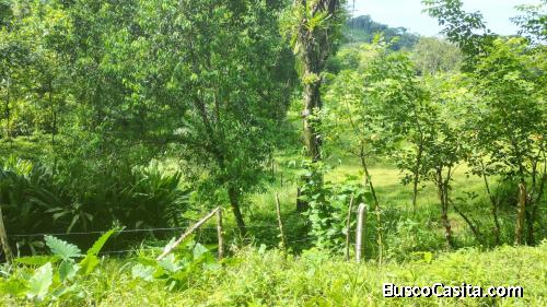 SE VENDE LOTE  TERRENO EN NARANJITO, QUEPOS