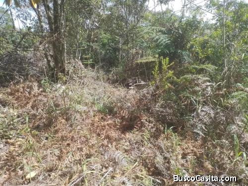 DE OPORTUNIDAD BELLO LOTE EN EL GUARCO, CARTAGO.