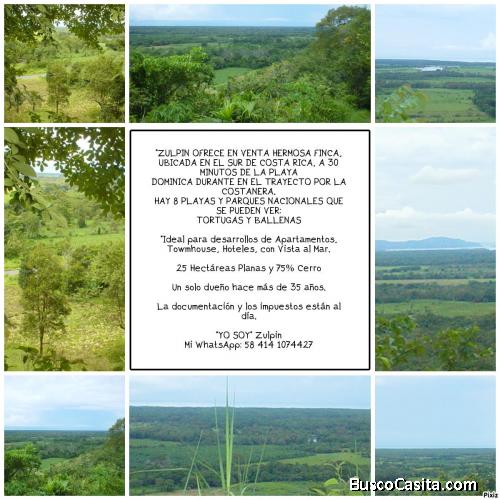 EN VENTA FINCA EN EL SUR DE COSTA RICA