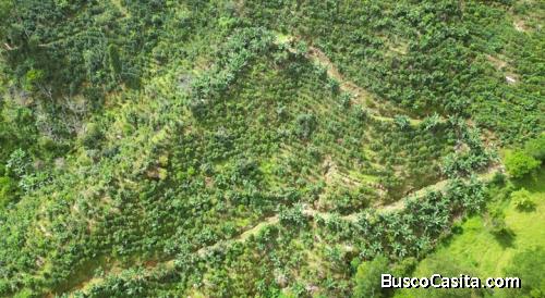 LAND FOR SALE IN CEDRAL, SAN JOSE. 130 HECTARES