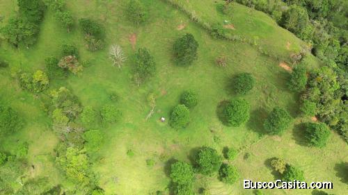 FINCA EN VENTA EN CEDRAL, SAN JOSE. 130 HECTÁREAS