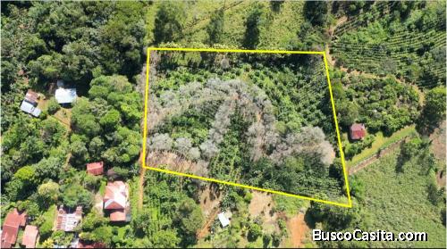 Venta lote 12.073 mts2 Santa Elena del General