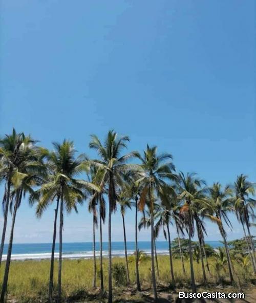SE VENDE BELLA FINCA EN PALO SECO, PARRITA, PUNTARENAS.