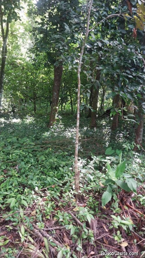 SE VENDE BELLA FINCA EN LA COSTANERA SUR.