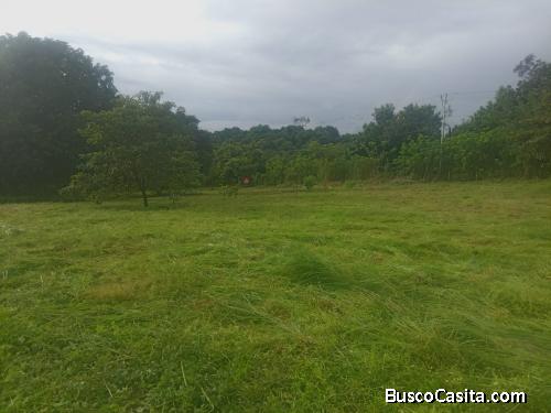 SE VENDE BELLA FINCA EN OROTINA, ALAJUELA.