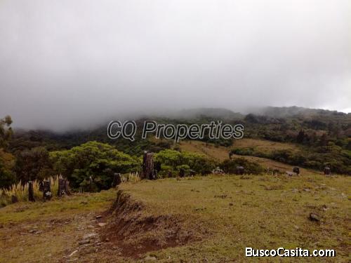 Finca para reforestar, Concepcion de San Rafael 88 hectareas