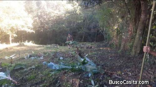 LINDO LOTE EN DERECHO EN PATARRA.