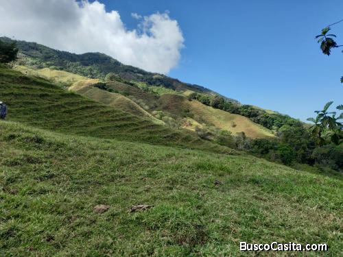 Terreno de 5 hectáreas, para ganadería, finca de descanso.