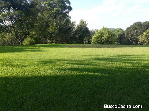 SE VENDEN 2 BELLOS LOTES EN BIJAGUAL, TURRUBARES.