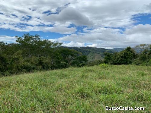 SE VENDE BELLÍSIMA FINCA EN ZAPOTAL, NANDAYURE, GTE.