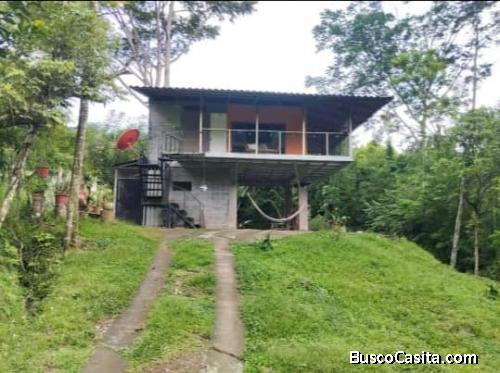 BELLA PROPIEDAD Y CASA DE CAMPO EN PURISCAL.