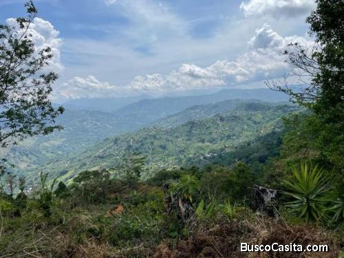 ESPECTACULAR FINCA EN PALMICHAL DE ACOSTA, S.J.