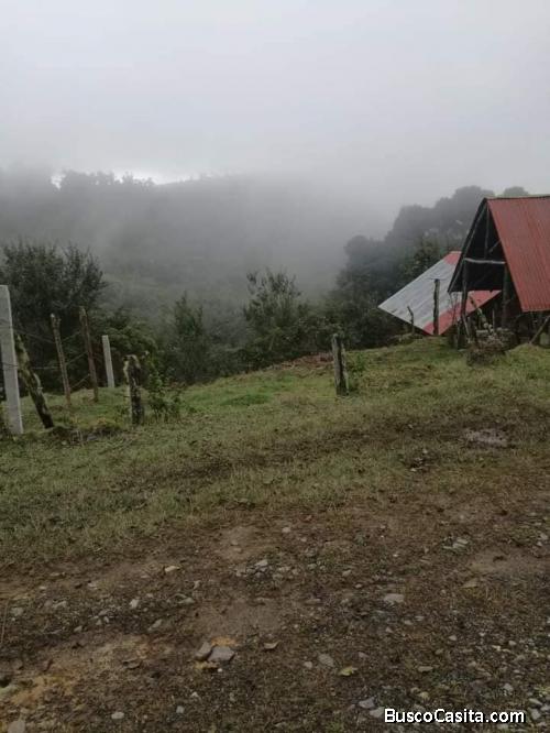 2 BELLOS TERRENOS POR UN SOLO PRECIO.